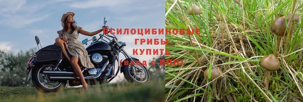 кокс Белоозёрский