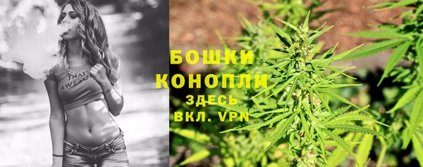 каннабис Беломорск