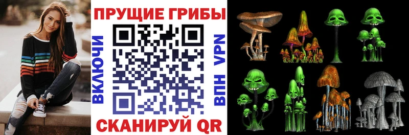 Галлюциногенные грибы Cubensis  Заринск 
