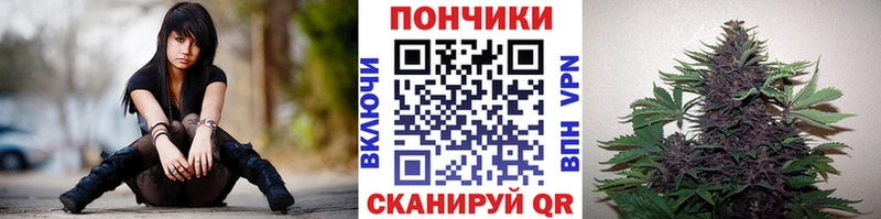 сайты даркнета телеграм  Заринск  Каннабис SATIVA & INDICA 